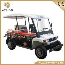 AC Motor 5kw Suitable Price Ambulance Golf Cart